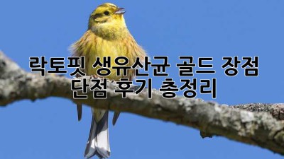 락토핏 생유산균 골드: 장점, 단점, 후기 총정리